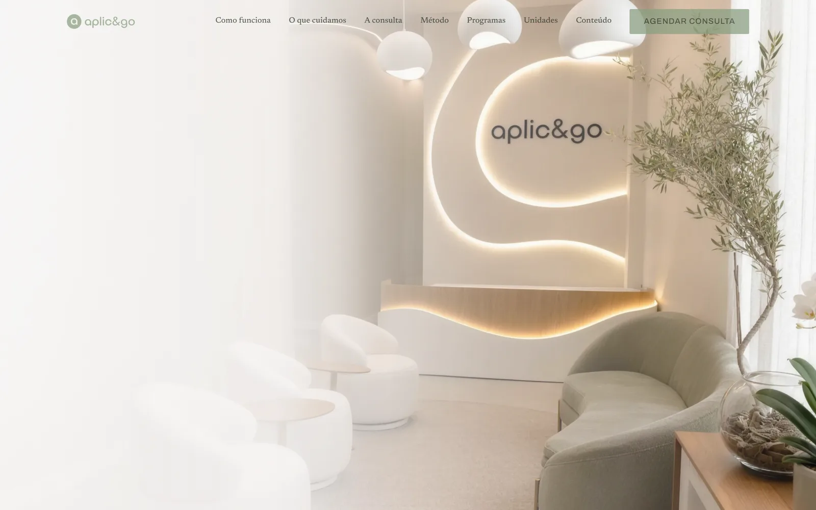 Site institucional da Aplic&Go — captura da página